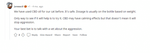 Negative Reviews About CBD Oil for Cats